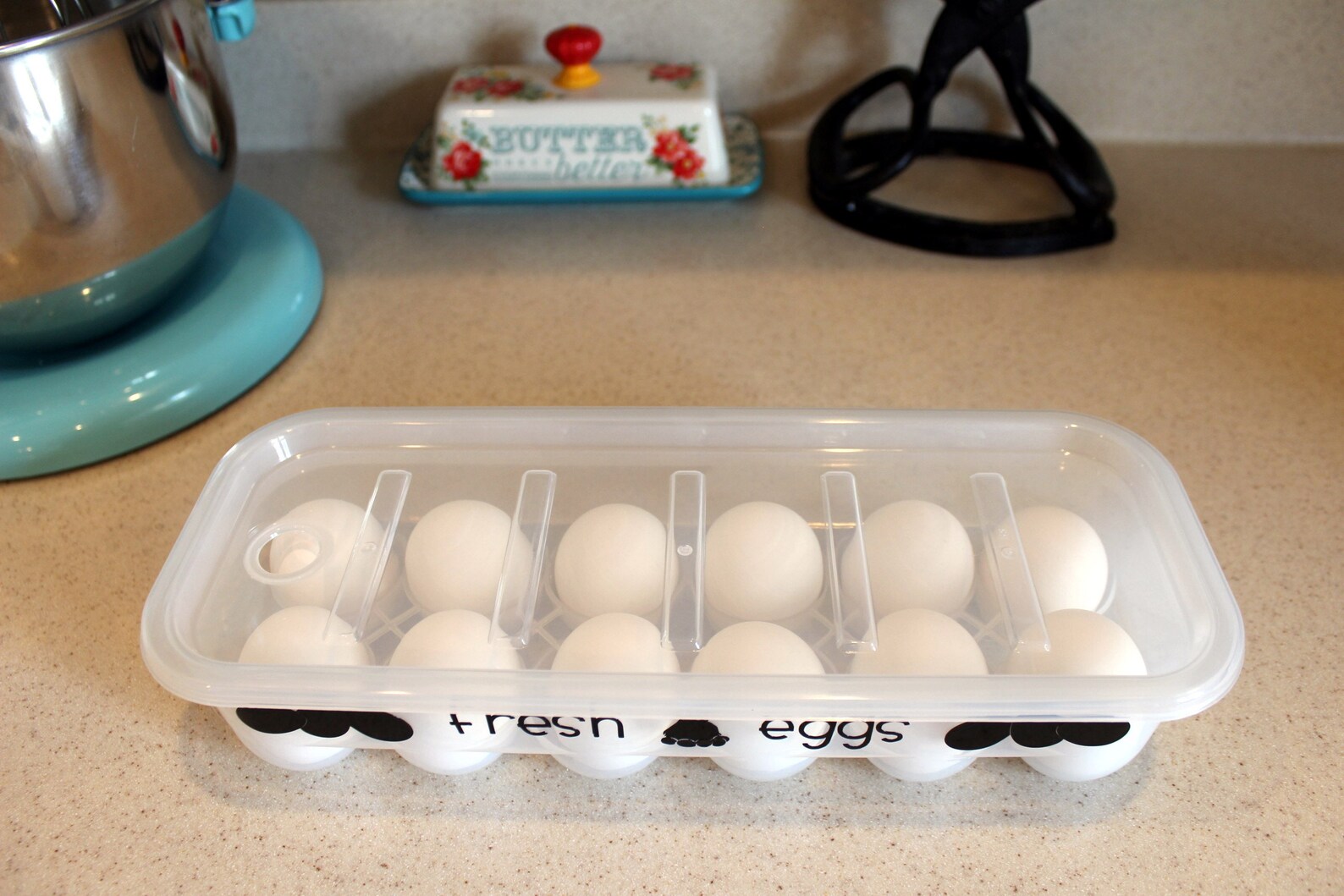 Funny Egg Carton Sayings Reusable Egg Carton with Lid Egg Etsy