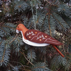 May include: A handmade felt bird ornament with a brown body, white belly, and orange head. The bird has decorative stitching and is hanging from a green string against a backdrop of evergreen branches. A unique holiday decoration.