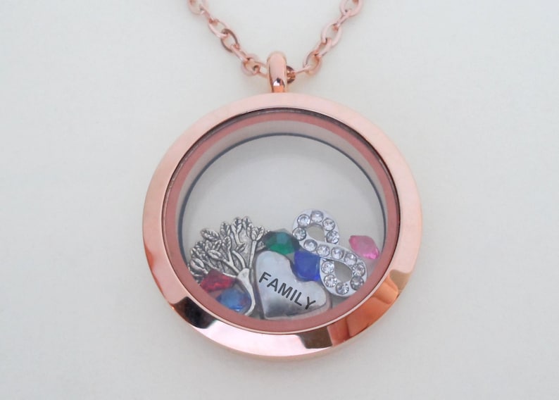 Floating Charm Locket Necklace, Birthstones Necklace, Mothers Necklace, Grandma Necklace, Memorial Gift, Personalized Steel Necklace Gift RoseGold LargeCircle