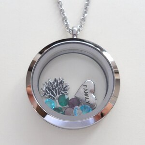 Floating Charm Locket Necklace, Birthstones Necklace, Mothers Necklace, Grandma Necklace, Memorial Gift, Personalized Steel Necklace Gift Large Plain Circle