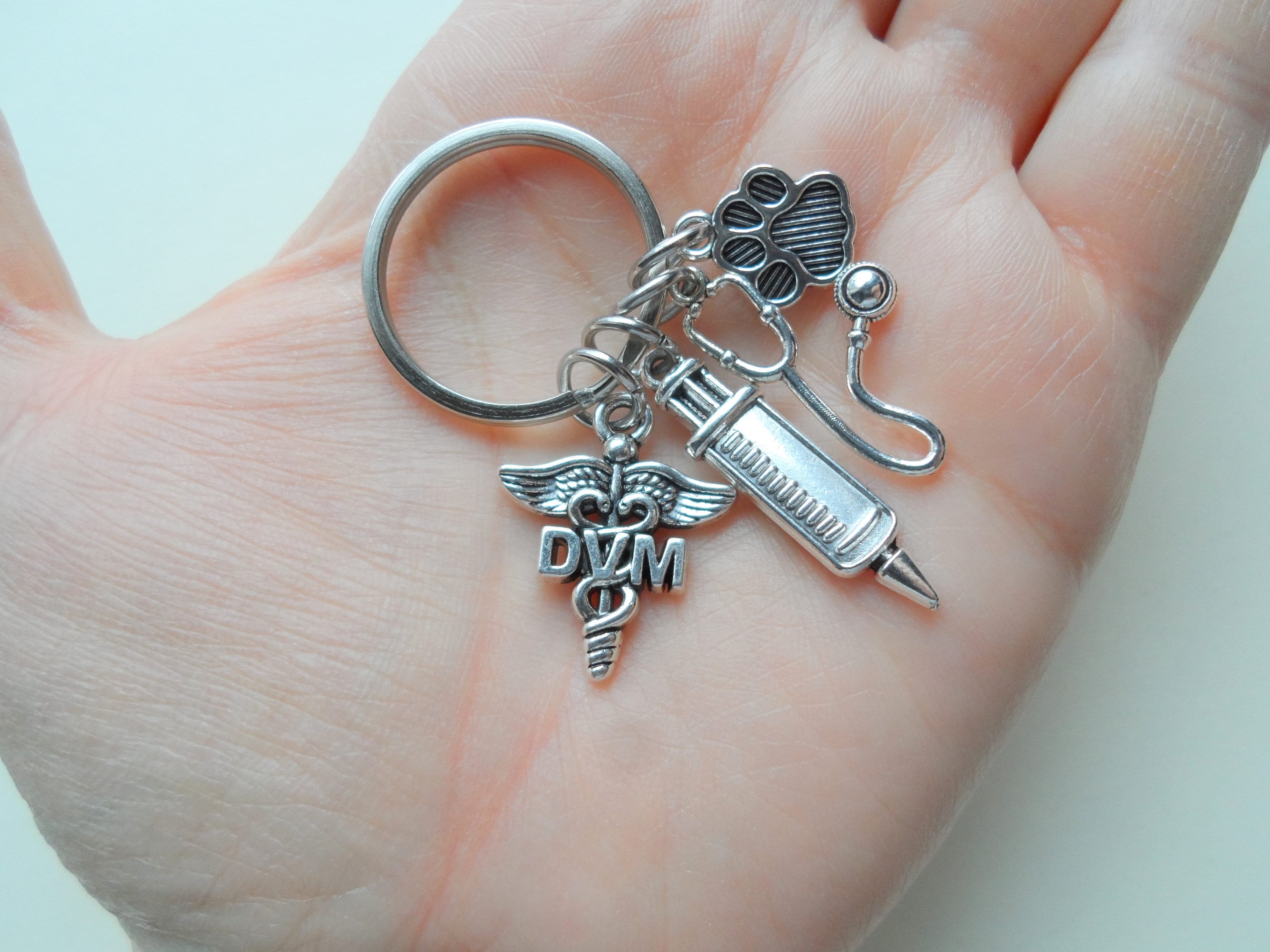 Key Chain Veterinary Doctor of Veterinary Medicine Keychain, Veterinarian, Pet & Animal Care ...