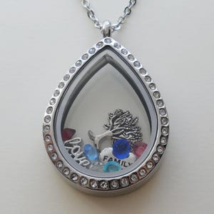 Floating Charm Locket Necklace, Birthstones Necklace, Mothers Necklace, Grandma Necklace, Memorial Gift, Personalized Steel Necklace Gift LargeCrystalTeardrop