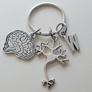 May include: Silver keychain with a brain, a neuron, and the letter W charm.