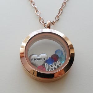 Floating Charm Locket Necklace, Birthstones Necklace, Mothers Necklace, Grandma Necklace, Memorial Gift, Personalized Steel Necklace Gift RoseGoldMediumCircle