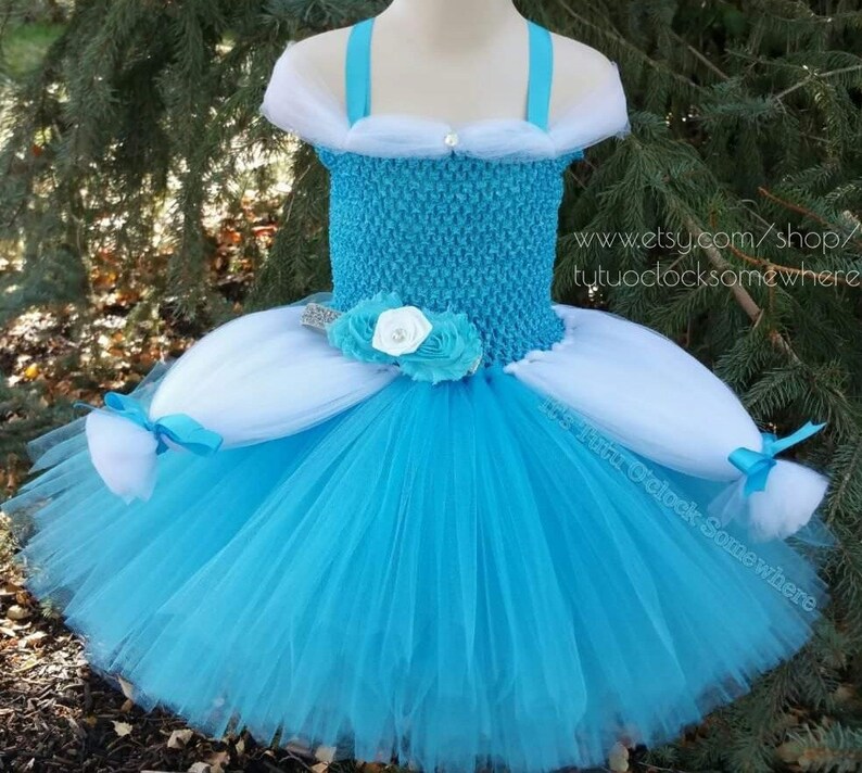 cinderella tutu set