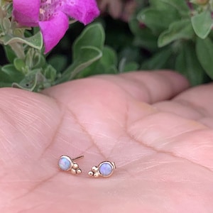 Opal earrings, Australian opal earrings,  small stud earrings.  Gold earrings, 14 karat gold earrings.