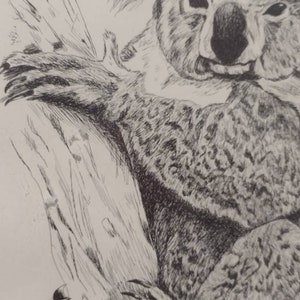 Vintage 1980s Signed & Numbered Stan Smigiera Print 57/200 Koala Bear Mama and Baby Joey Portrait Naturalist Art 21x17 image 6