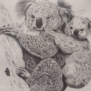 Vintage 1980s Signed & Numbered Stan Smigiera Print 57/200 Koala Bear Mama and Baby Joey Portrait Naturalist Art 21x17 image 2