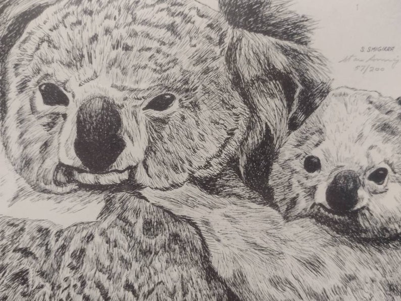 Vintage 1980s Signed & Numbered Stan Smigiera Print 57/200 Koala Bear Mama and Baby Joey Portrait Naturalist Art 21x17 image 4