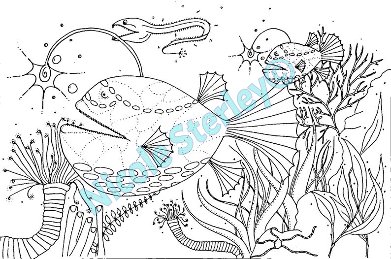 Lantern Fish Printable Adult Colouring Page Instant | Etsy