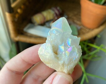 Angel Aura Specimen