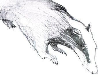 Charcoal Drawing of a Badger * The Wind in The Willows * Art Print * Badger lover gift * Monochrome