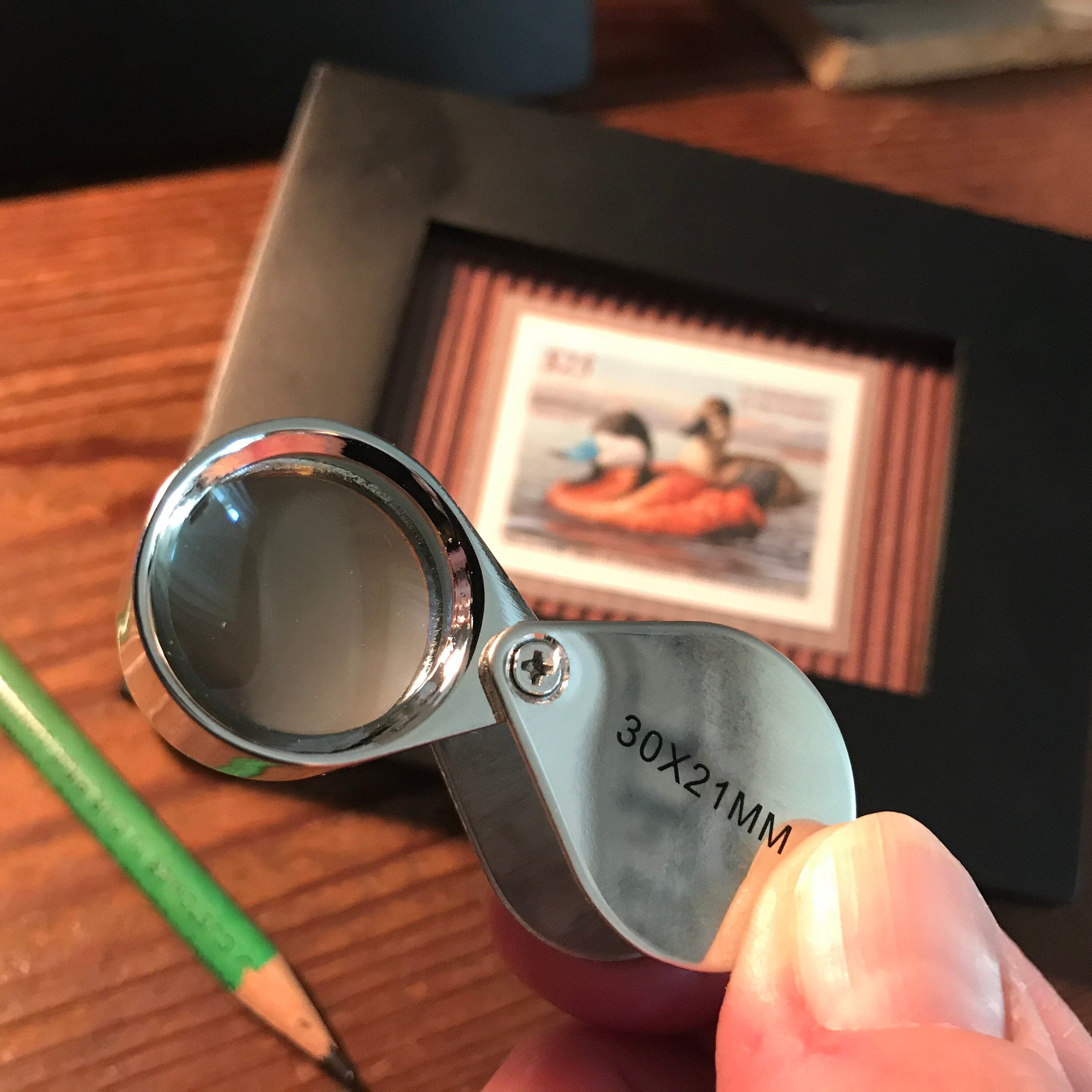 LOUPE With LANYARD Folding Magnifying Lens on a Lanyard 30x21 for