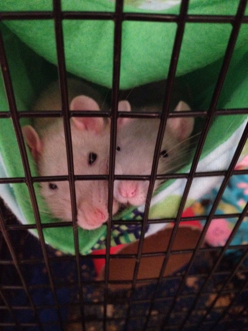 Bunk Bed Custom Hammock for Rats Mice Ferrets. Choose Your Etsy