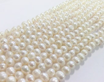 Perles d'eau douce blanc crème pomme de terre ovale environ 6-8 mm fil de perles #25