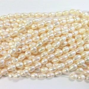 10 30 Süßwasser Perlen creme weiß 5-7,5mm Perlen Zuchtperlen oval barock 3 k Bild 6