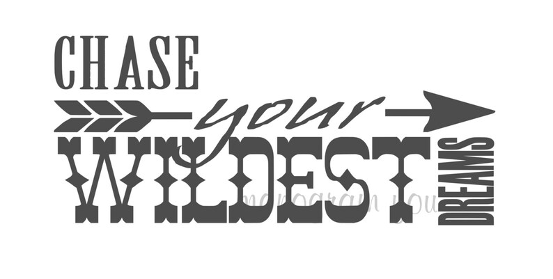 Vinyl Wall Decal Chase Your Wildest Dreams - 