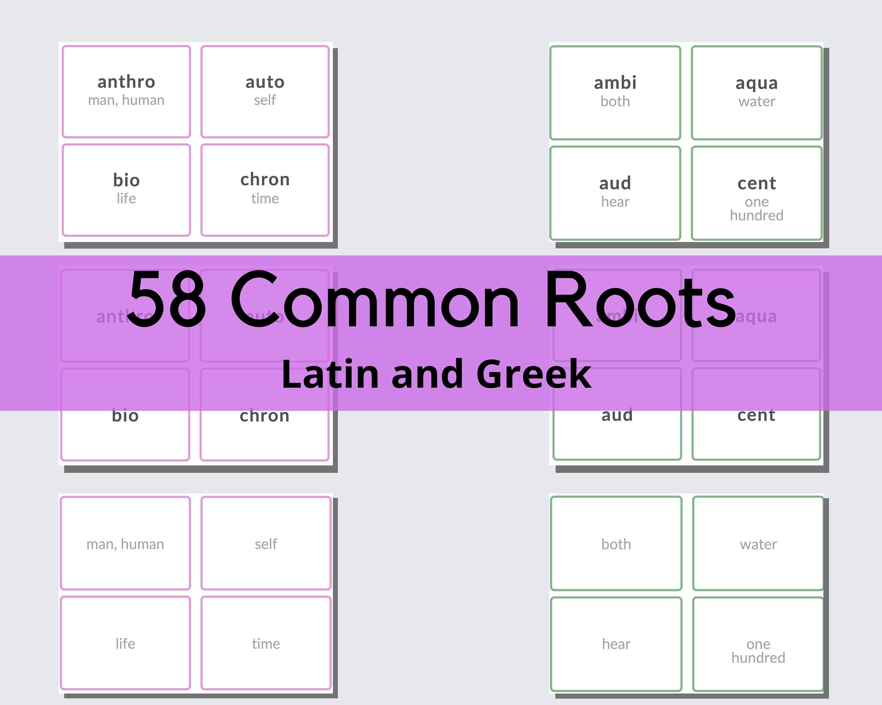Latin Root Work Printable Flashcards Free Printable Templates
