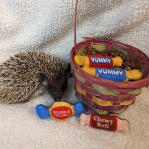Yummy Fleece Faux Treats Mint Gefüllte Süßigkeiten Igel Spielzeug Käfig Buddy Chibi Freund Foto Requisite