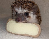 Lemon Bar Pastry Lemongrass Stuffed Hedgehog Toy