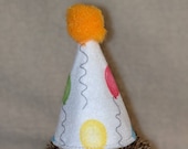 Party hat for Hedgehog Small Pets Birthday Gotcha Day Celebration
