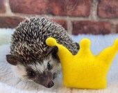 Customizable Crown King Queen Princess Princess Duke Duchess Royal Mint Stuffed Hedgehog Toy Cage Buddy