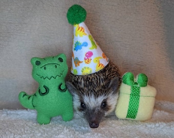 Dino Trex Party Box Birthday Gotcha Day Adoption Day Celebration Mint Stuffed Hedgehog Toy