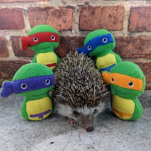 Ninja Turtle Warriors Chibi Kawaii Mint Stuffed Hedgehog Toy Small Animal Cage Buddy