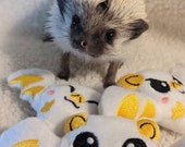 Batty Brothers Honduran White Bat Mint Stuffed Hedgehog Toy Small Animal Cage Buddy