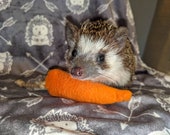 Carrot Tug and Play Mint Stuffed Hedgehog Toy Small Animal Toss Toy