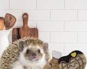Chicken and Heart Waffle Kawaii Chibi Fleece Mint Stuffed Hedgehog Toy Small Animal Cage Buddy Cage Decor Photo Prop