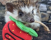 Strawberry Chocolate Drizzle Tug Toy Mint Stuffed Hedgehog Toy Cage Buddy