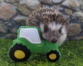 Tractor Green and Yellow Mint Stuffed Hedgehog Toy Cage Buddy Photo Prop Decor Enrichment