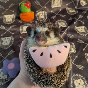 Watermelon Slice Mint Stuffed Hedgehog Toy