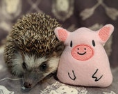 Petunia the Pig Mint Stuffed Hedgehog Toy Small Animal Cage Buddy