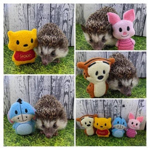 Hundred Acre Wood Friends Chibi Kawaii Mint Stuffed Hedgehog Toy Small Animal Cage Buddy