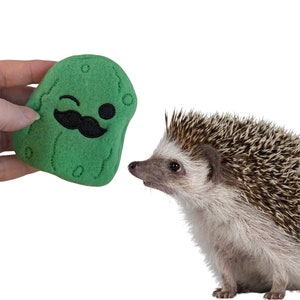 May include: A green plush toy shaped like a pickle with a winking face and a black mustache. A small hedgehog with brown and white fur is looking at the toy.