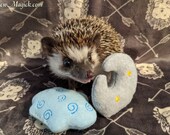 Moon or Cloud Lavender Stuffed Hedgehog Toy