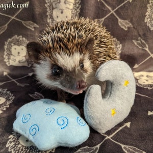 Moon or Cloud Lavender Stuffed Hedgehog Toy