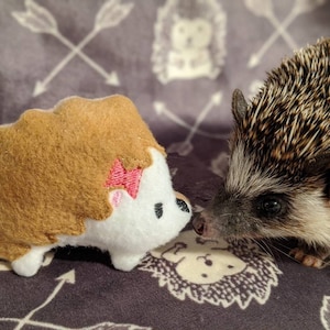 Muffin The Mint Stuffed Hedgehog Toy