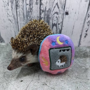 Hedgehog Faux Digital Virtual Pet Fleece Mint Stuffed Hedgehog Toy Small Animal Cage Buddy Choose Your Pet Pal Photo Prop