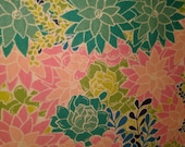 Pink and Green Succulents
