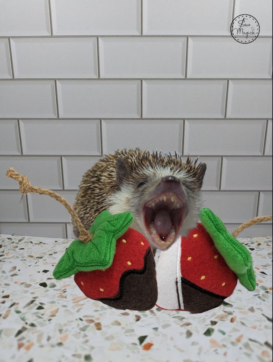 Strawberry Chocolate Dipped Tug Toy Mint Stuffed Hedgehog Enrichment