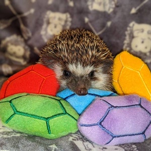 May include: A small hedgehog is nestled in a pile of colorful plush turtle toys. The toys are red, green, blue, and yellow. The hedgehog is brown and has a white stripe down its nose.