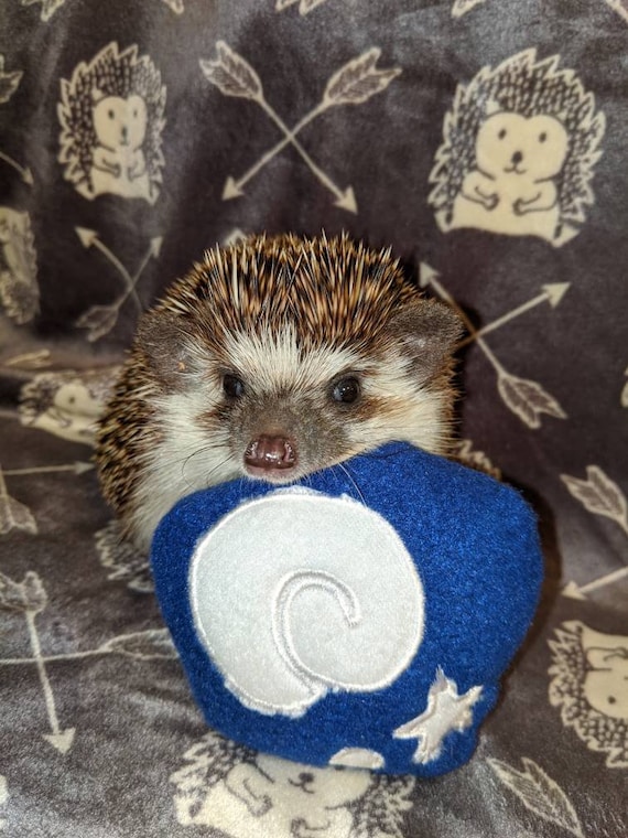 Fossil From Animal Crossing Mint Stuffed Hedgehog Toy Cage - Etsy Fossil From Animal Crossing Mint Stuffed Hedgehog Toy Cage - Etsy