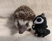 Skeleton Unicorn Glow in the Dark Mint Stuffed Hedgehog Toy Small Animal Cage Buddy