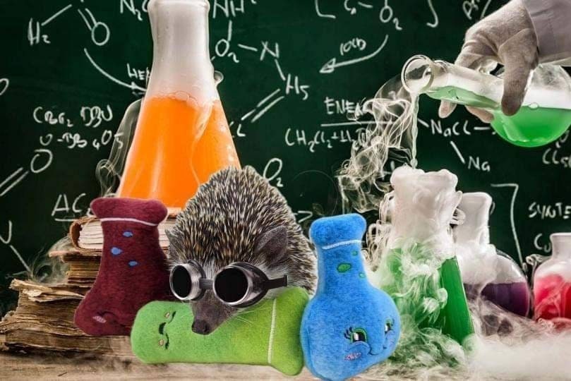 Science Lab Flasks Test Tube Mint Stuffed Hedgehog Toy Small Animal Cage Buddy Photo Prop