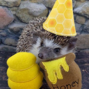 Bee My Honey Party Box Birthday Gotcha Day Adoption Day Celebration Beehive Honey Pot Mint Stuffed Hedgehog Toy