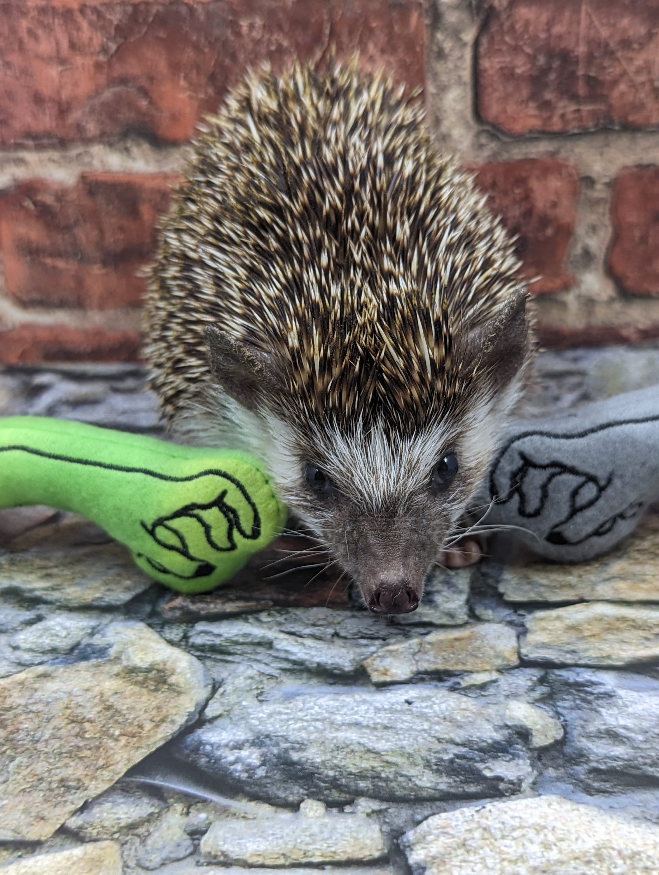 Zombie Arm Mint Stuffed Hedgehog Toy Small Animal Cage Buddy Cage