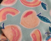 Taste of Summer Peach Igloo Cover for Hedgehogs, Guinea Pigs, Rats, Ferrets, Degus and many small pets